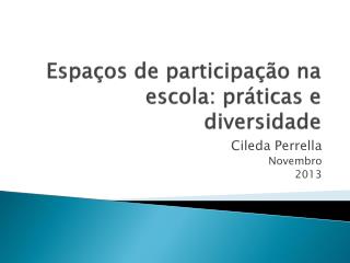 Espaços de participação na escola: práticas e diversidade
