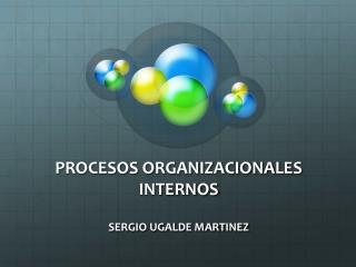 PROCESOS ORGANIZACIONALES INTERNOS