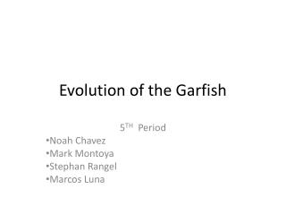 Evolution of the Garfish