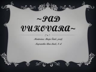 ~PAD Vukovara~