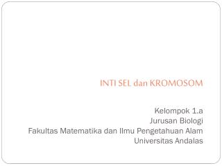 Apa hubungan antara inti sel dan kromosom ?