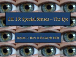 CH 15: Special Senses – The Eye