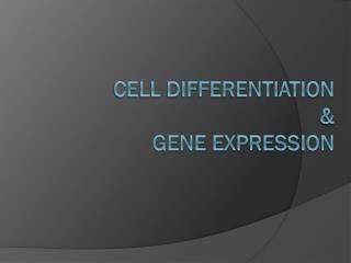 Cell Differentiation &amp; Gene Expression