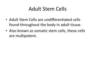 Adult Stem Cells