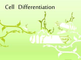 Cell Differentiation