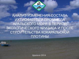 Аральск 2014
