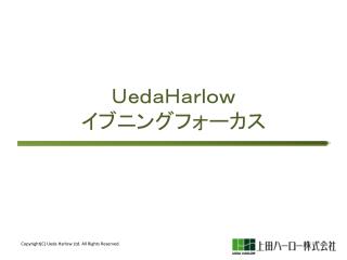 ＵｅｄａＨａｒｌｏｗ イブニングフォーカス