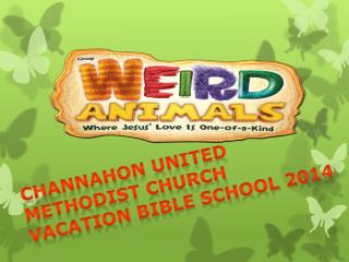 CHANNAHON UNITED METHODIST CHURCH VACATION BIBLE SCHOOL 2014