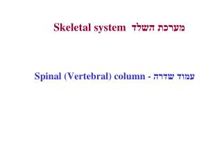 מערכת השלד Skeletal system