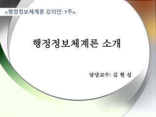 행정정보체계론 소개