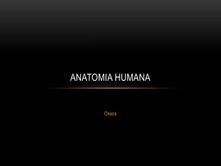 Anatomia humana