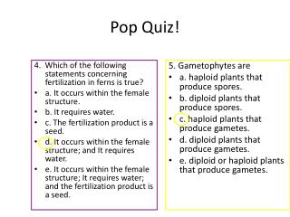 Pop Quiz!