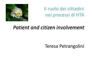 Il ruolo dei cittadini nei processi di HTA Patient and citizen involvement Teresa Petrangolini