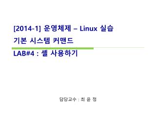 [ 2014-1] 운영체제 – Linux 실습 기본 시스템 커맨드 LAB#4 : 셸 사용하기