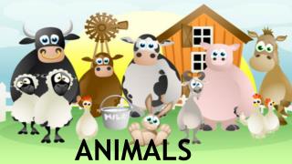 ANIMALS