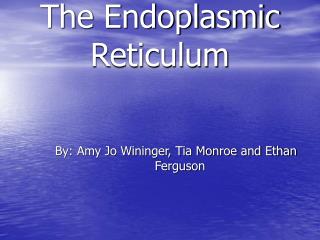 The Endoplasmic Reticulum