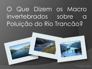 O Que Dizem os Macro invertebrados sobre a Poluição do Rio Trancão?