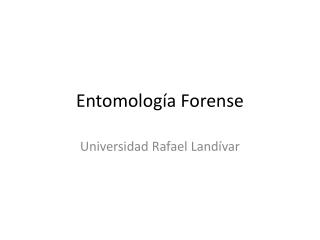 Entomología Forense