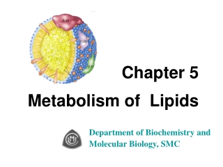 Chapter 5 Metabolism of Lipids
