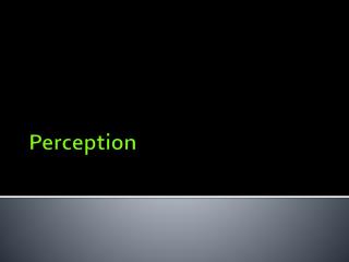 Perception