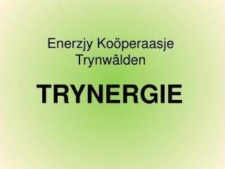 Enerzjy Koöperaasje Trynwâlden