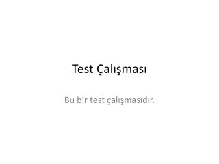 Test Çalışması