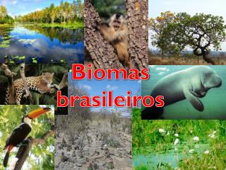 Biomas brasileiros