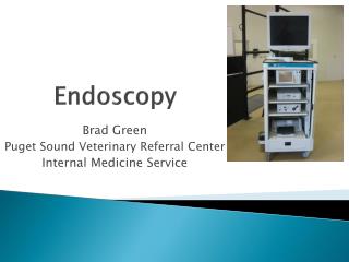 Endoscopy