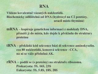 RNA