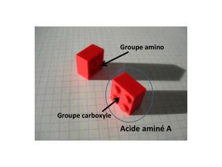Groupe carboxyle
