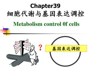 Chapter39 细胞代谢与基因表达调控