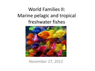 World Families II: Marine pelagic and tropical freshwater fishes