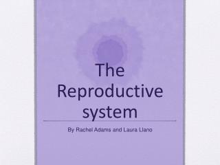 The Reproductive system