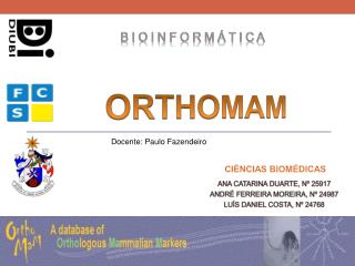 ORTHOMAM