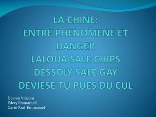 LA CHINE: ENTRE PHENOMENE ET DANGER LALOUA SALE CHIPS DESSOLY SALE GAY DEVIESE TU PUES DU CUL