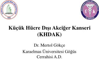 Küçük Hücre Dışı Akciğer Kanseri (KHDAK)