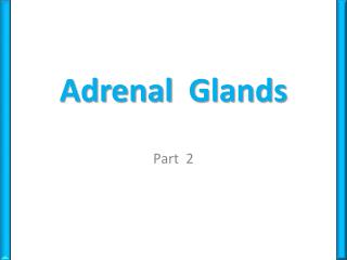Adrenal Glands
