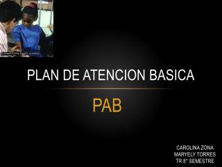 PLAN DE ATENCION BASICA