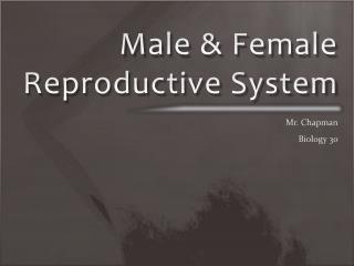 Male &amp; Female Reproductive System
