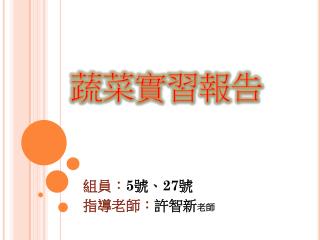 蔬菜實習報告