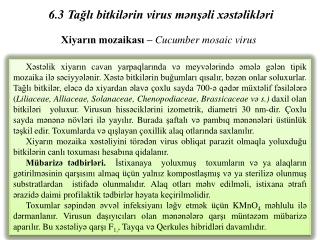 6.3 Tağlı bitkilərin virus mənşəli xəstəlikləri