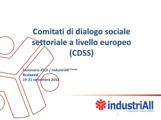 Comitati di dialogo sociale settoriale a livello europeo (CDSS)