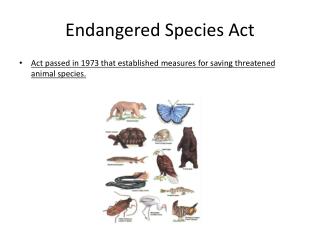 Endangered Species Act