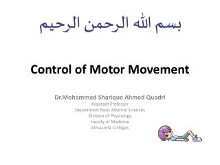 Control of Motor Movement