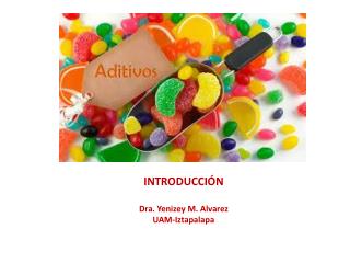 INTRODUCCIÓN Dra. Yenizey M. Alvarez UAM- Iztapalapa