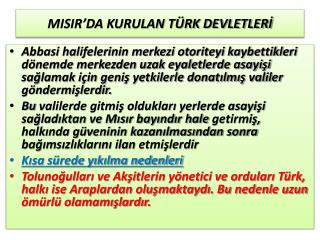 MISIR’DA KURULAN TÜRK DEVLETLERİ