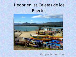 Hedor en las Caletas de los Puertos