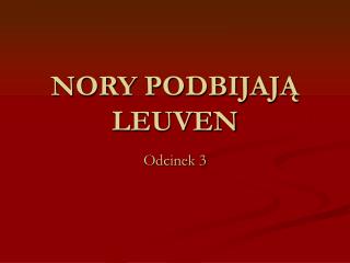 NORY PODBIJAJĄ LEUVEN