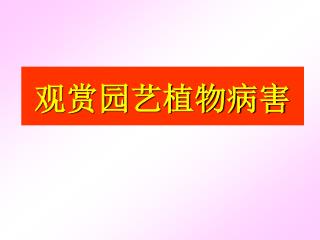 观赏园艺植物病害