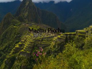 Machu Picchu